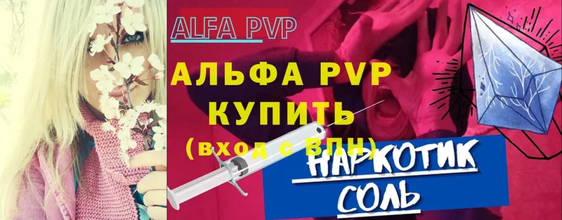 A-PVP СК  Химки 